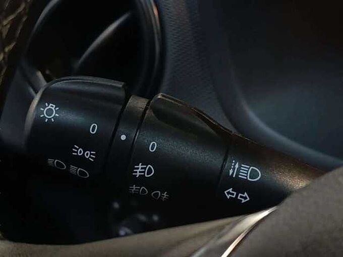 Dacia Sandero 1.0 TCe Stepway Anniversary *Garantie *GPS* Clim*